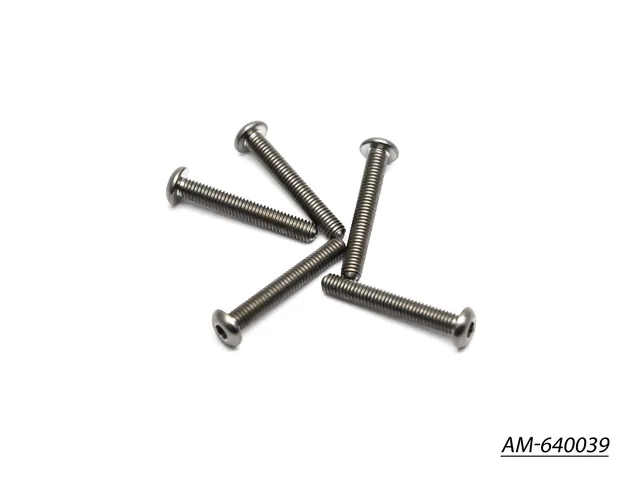 Arrowmax AM-640039 vis titane M3x20 tête ronde (5)