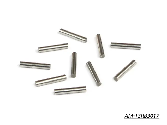 Arrowmax Accessories AM-13RB3017 goupilles 3x17 lot 10
